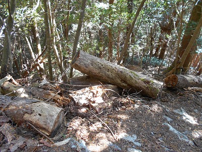 f0308898_19193049.jpg