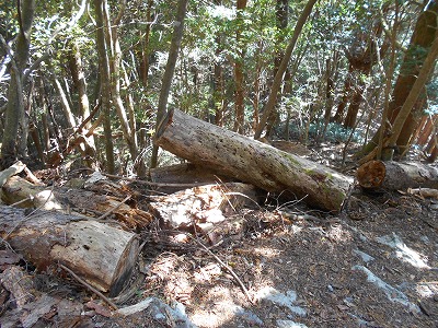 御在所山（旧香北町）_f0308898_19193049.jpg