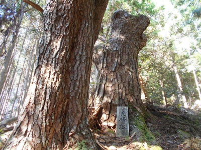 御在所山（旧香北町）_f0308898_19193910.jpg