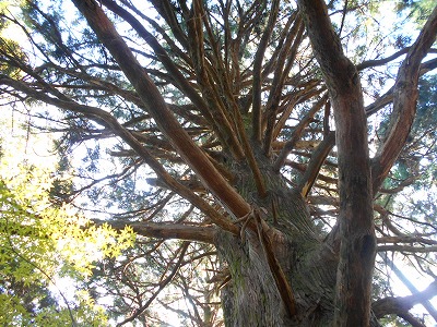 f0308898_19194988.jpg