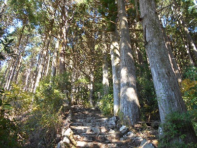 御在所山（旧香北町）_f0308898_192088.jpg