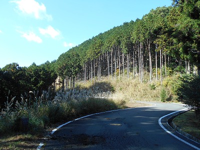 御在所山（旧香北町）_f0308898_19215317.jpg