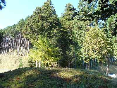 御在所山（旧香北町）_f0308898_1922379.jpg