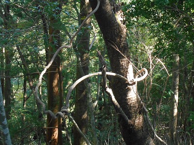 f0308898_1923030.jpg
