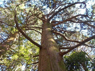 f0308898_192972.jpg