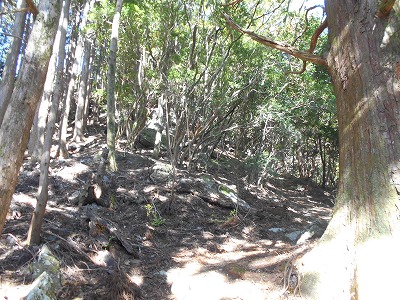 f0308898_1942111.jpg