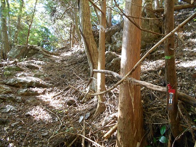 f0308898_1944538.jpg