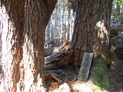 f0308898_194510.jpg