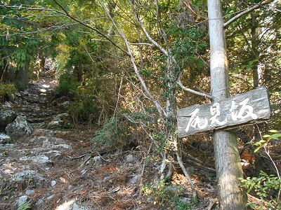 f0308898_195072.jpg
