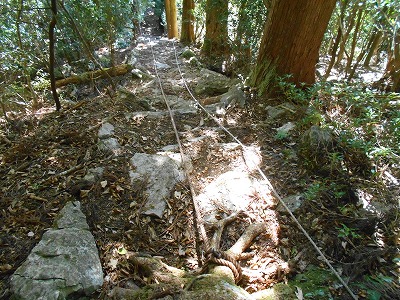 f0308898_1955442.jpg