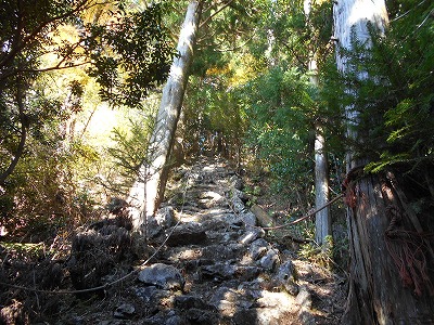 御在所山（旧香北町）_f0308898_195879.jpg