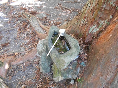 f0308898_196204.jpg