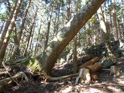 f0308898_1983626.jpg