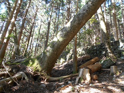 御在所山（旧香北町）_f0308898_1983626.jpg