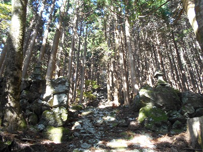 f0308898_1984498.jpg