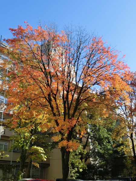 e0131399_2311492.jpg