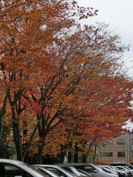 e0131399_2385272.jpg