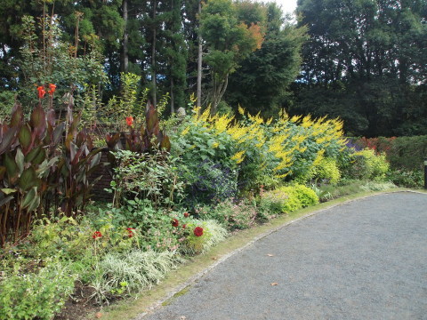 秋のお出かけ･･････茨城_b0331802_20275694.jpg