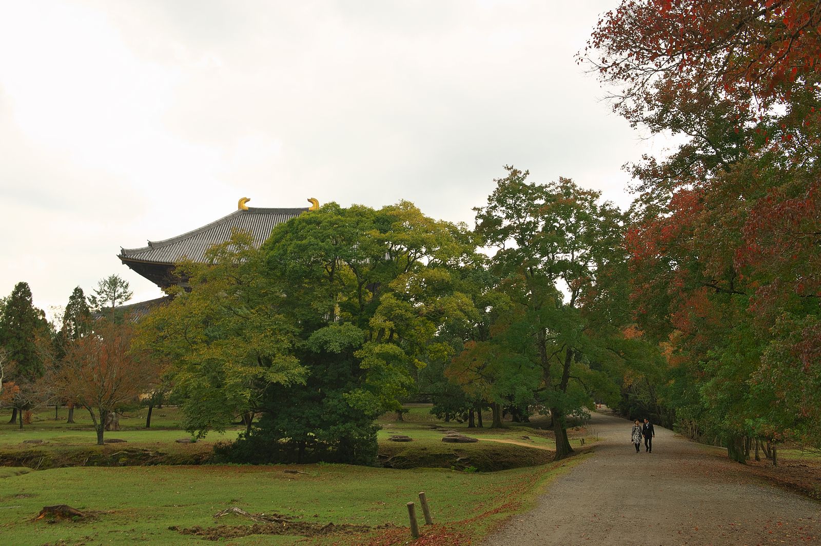 奈良へ行き正倉院展を見た後奈良公園内を散策しました_f0000502_13302117.jpg