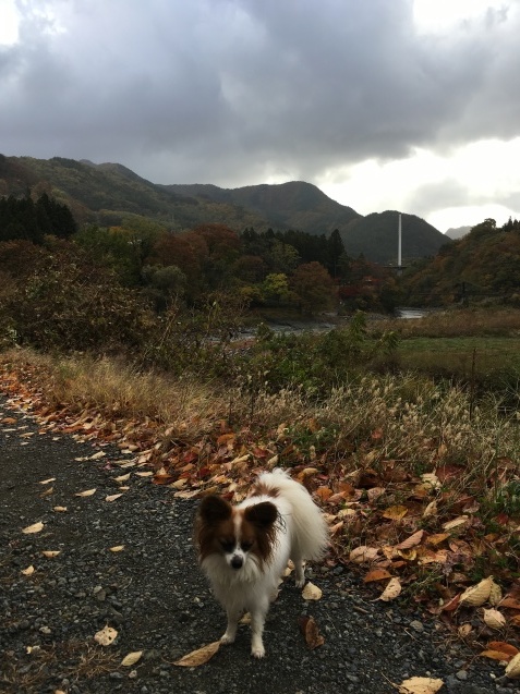 f0034602_12033770.jpeg