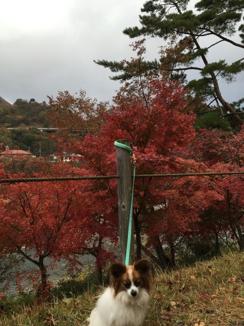 f0034602_12044204.jpeg