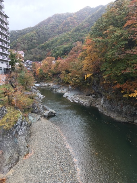 f0034602_12051187.jpeg