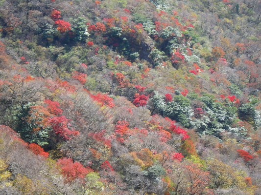 f0187402_18402366.jpg