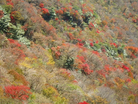 f0187402_18425318.jpg