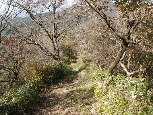 f0187402_1843273.jpg