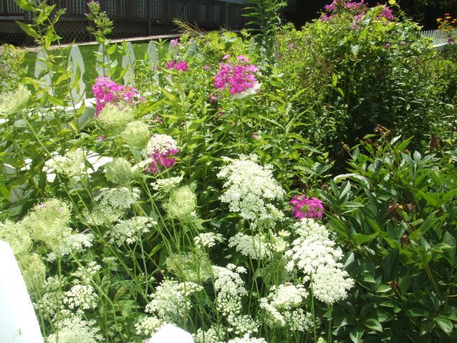 c0062603_05330287.jpg