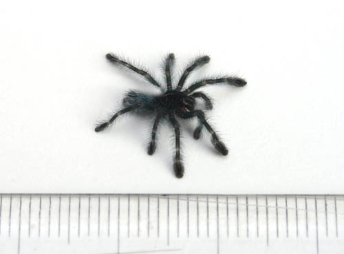c0165803_20342286.jpg