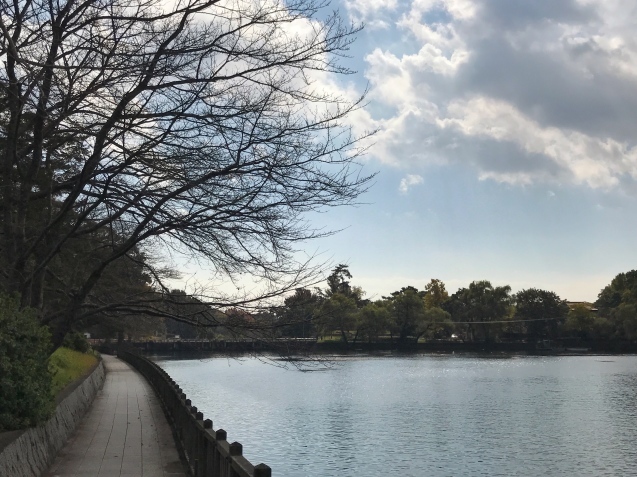 水辺のカフェ三宅商店♪_c0323003_09313573.jpg