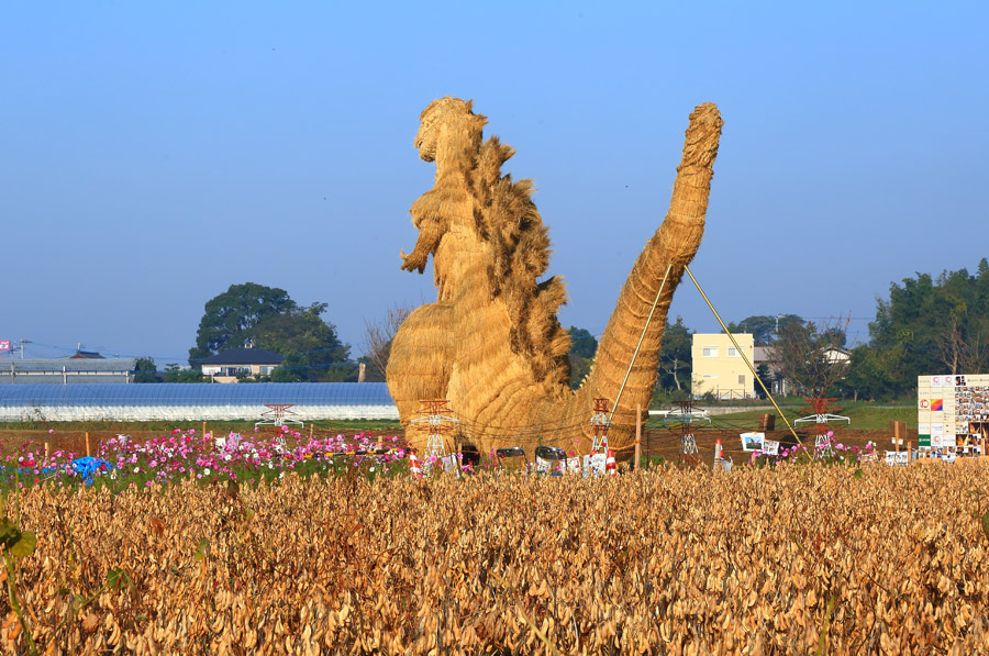 e0093903_931510.jpg