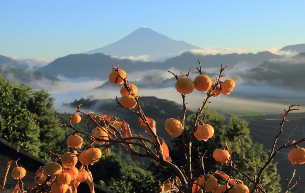 吉原は最高！_a0188405_10071467.jpg