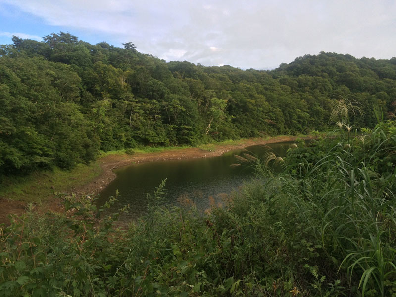 f0051306_17032822.jpg