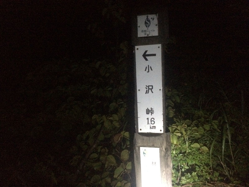 f0051306_17033288.jpg