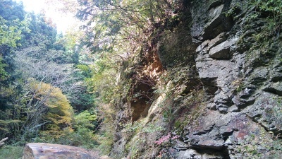 c0030607_17253693.jpg
