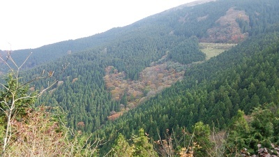 c0030607_17380230.jpg