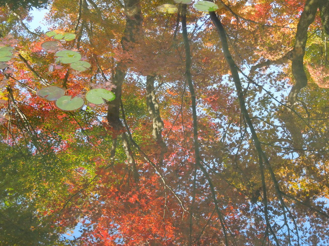 f0297809_22561451.jpg