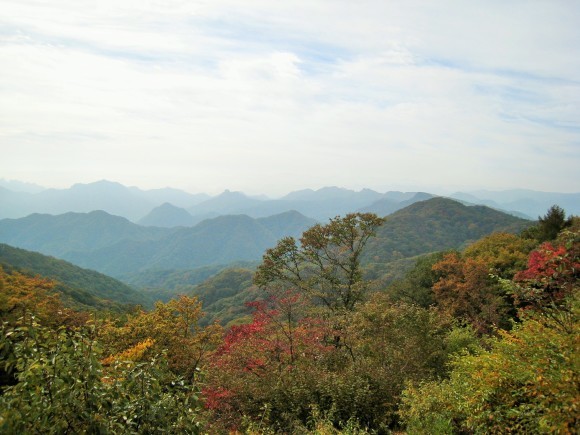 f0032812_15045904.jpg