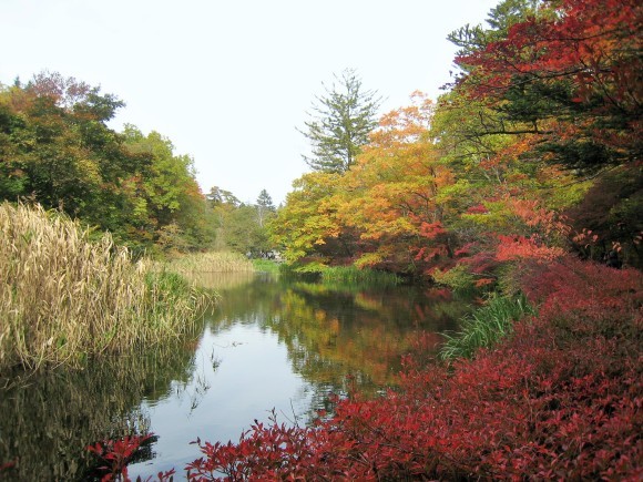 f0032812_15092244.jpg