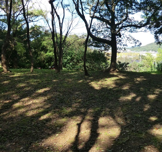 f0371014_23112647.jpg
