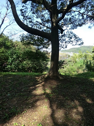 f0371014_23193576.jpg