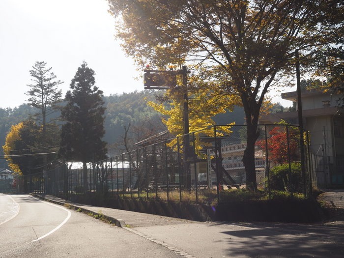 湯来南小学校のイチョウなど_c0116915_23391638.jpg