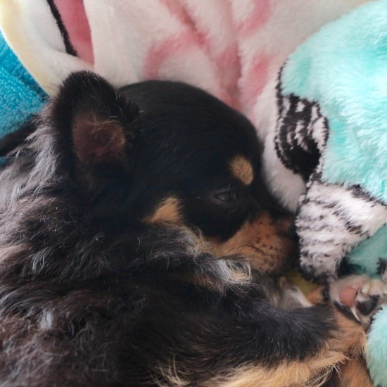 f0197215_08080103.jpg