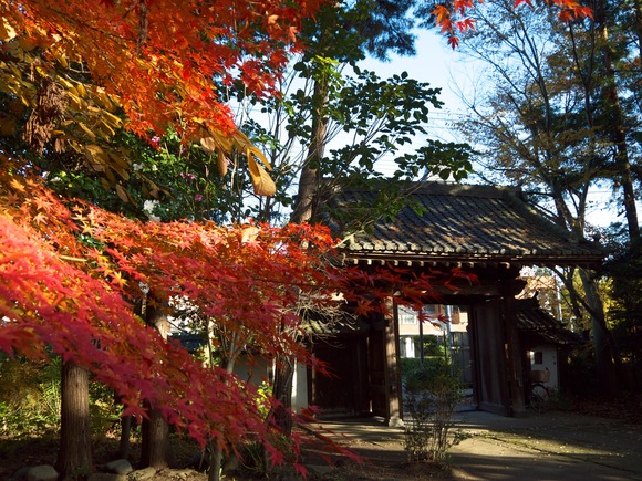 f0107517_20103624.jpg