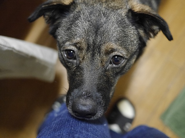 f0282319_6405370.jpg