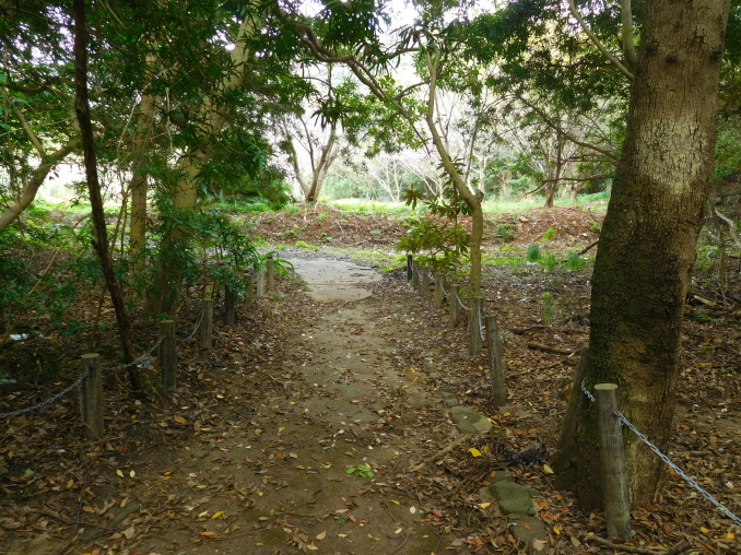 e0345320_14230863.jpg