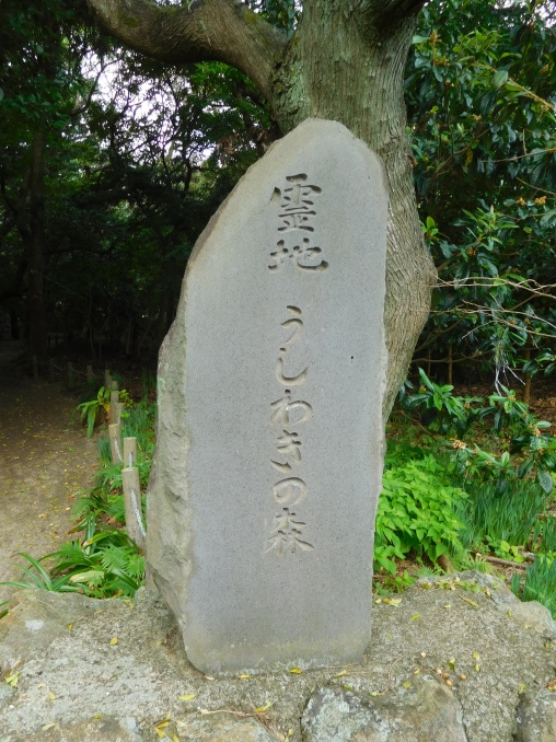 e0345320_15593642.jpg
