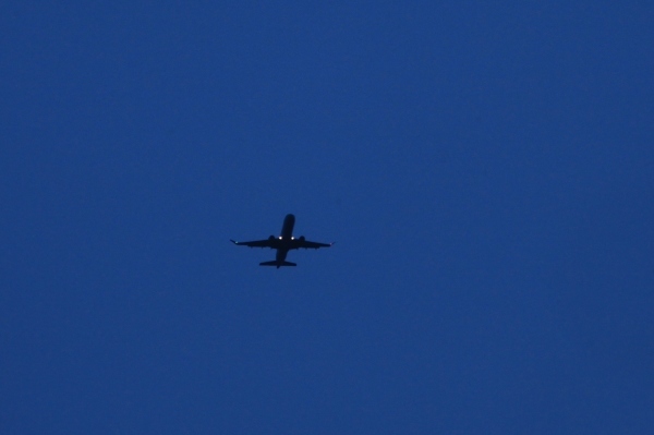 e0242721_21362058.jpg